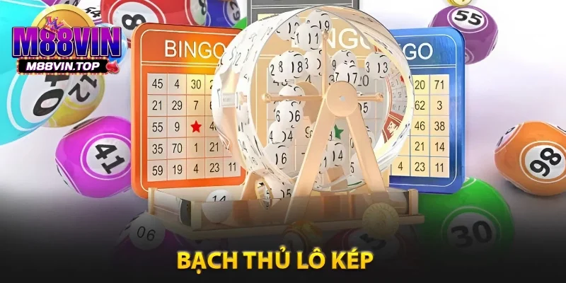 Bạch Thủ Lô Kép - Bí Quyết Nuôi Lô Kép Khung Chuẩn Xác 1 Bạch thủ lô kép là gì?