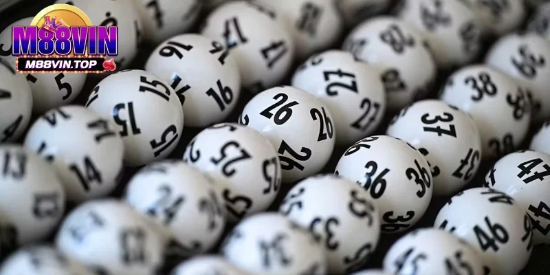Bạch Thủ Lô Kép - Bí Quyết Nuôi Lô Kép Khung Chuẩn Xác 3 Cách nuôi lô kép 7 ngày